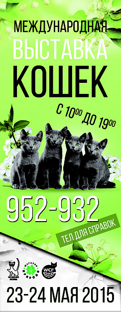 23-24 мая! Международная выставка кошек!