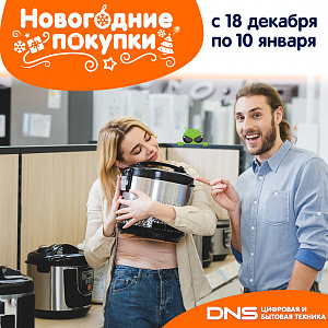 Новогодние скидки в DNS