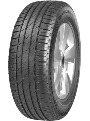 Character Character Aqua SUV (Nordman S2 SUV) 245/45R20 103V