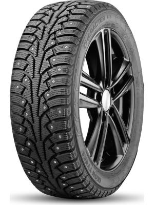 Ikon Tyres Character Ice 5 205/65R15 99T