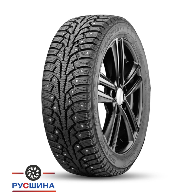 Ikon Tyres Character Ice 5 205/65R15 99T