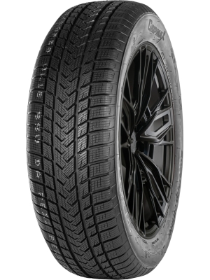 GRIPMAX SureGrip eWinter 205/45R17 88V